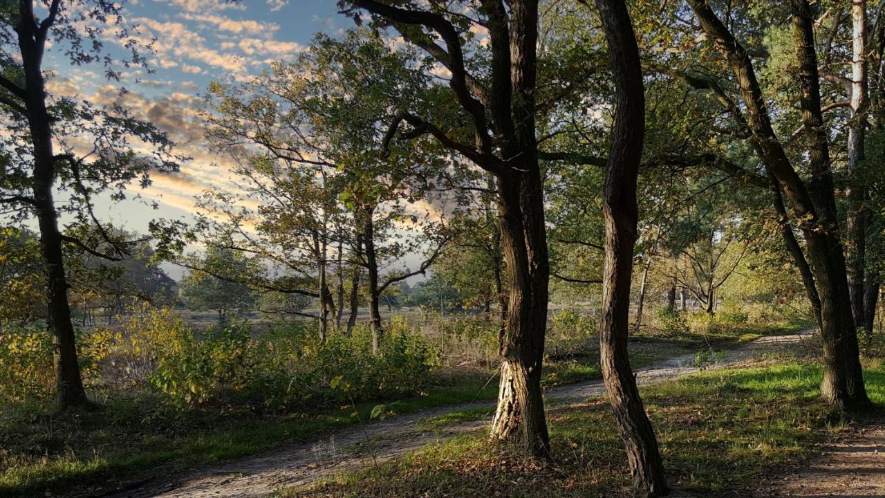 Fewo Grafschaft Нордхорн Экстерьер фото