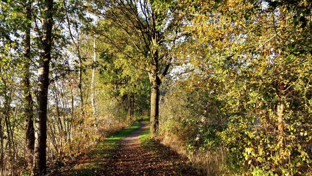 Fewo Grafschaft Нордхорн Экстерьер фото