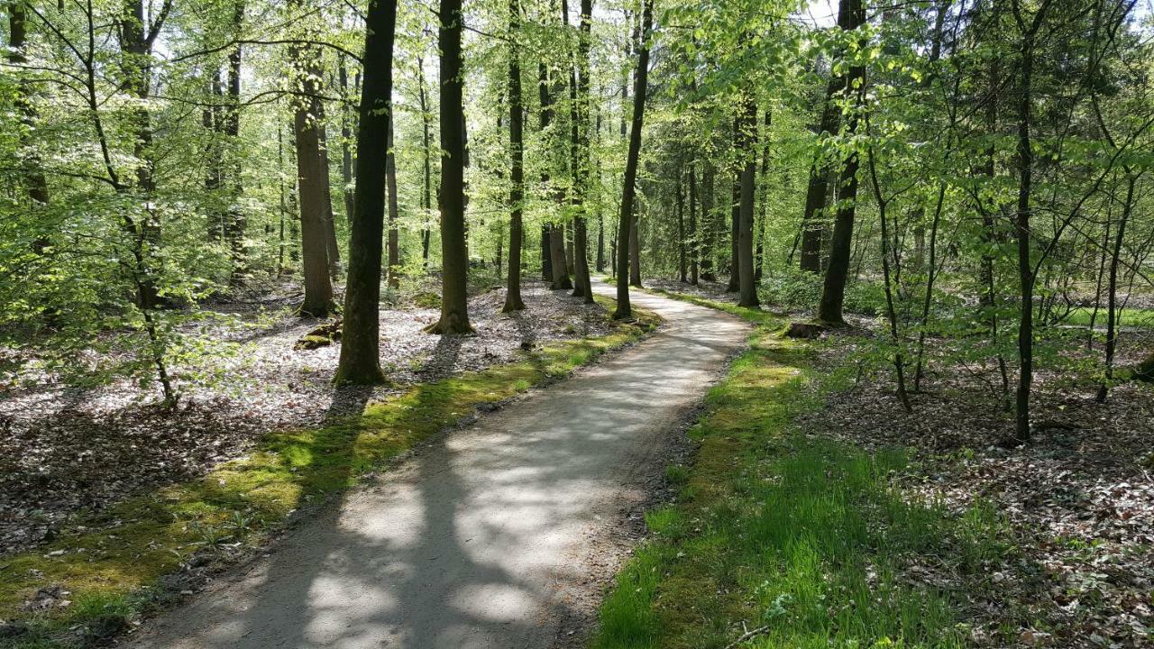 Fewo Grafschaft Нордхорн Экстерьер фото