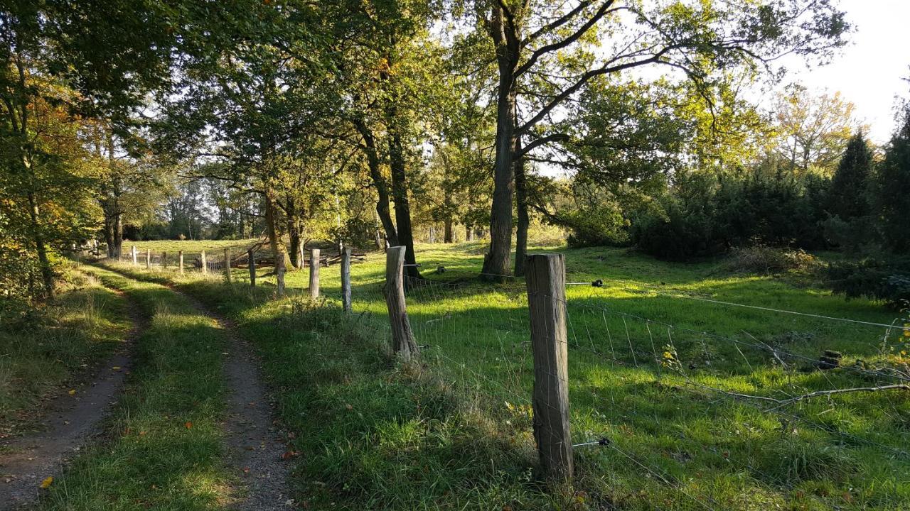 Fewo Grafschaft Нордхорн Экстерьер фото